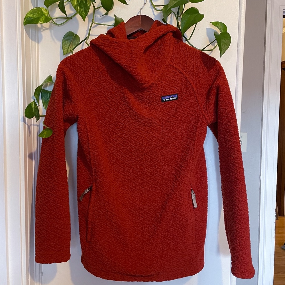 Patagonia Diamond Capra Hoodie Xs View 2